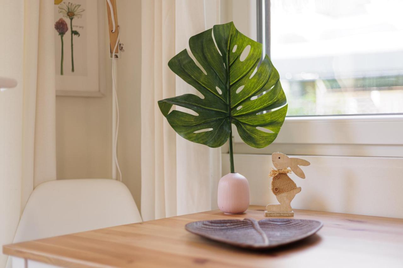 Aloe Apartments Corfu  Luaran gambar
