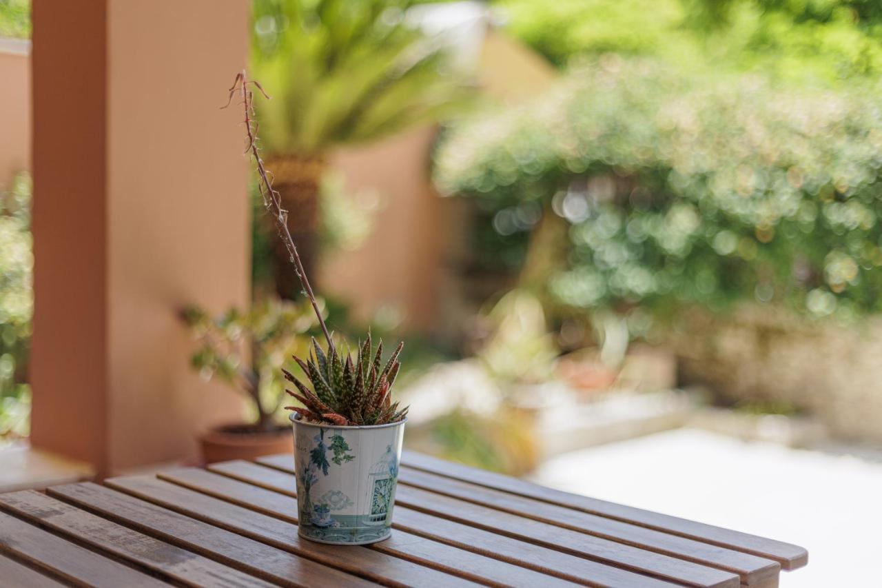 Aloe Apartments Corfu  Luaran gambar